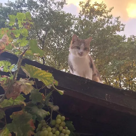 D'hotes - La Marmoire Nocleg ze śniadaniem 3*