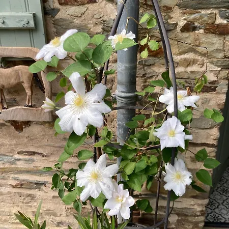 라 막무아 Soudan (Loire-Atlantique)